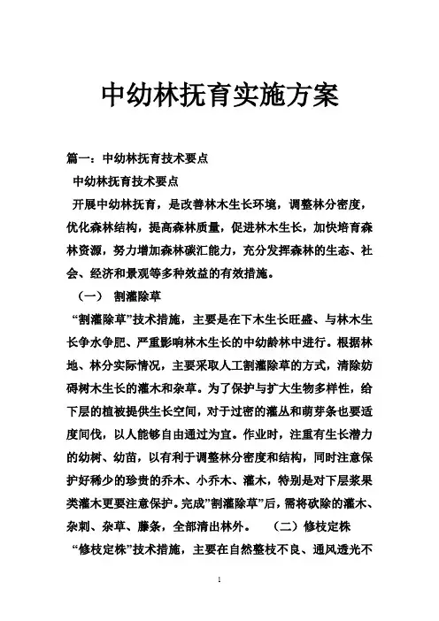中幼林抚育实施方案