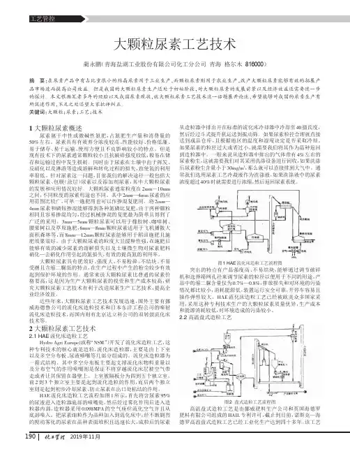 大颗粒尿素工艺技术