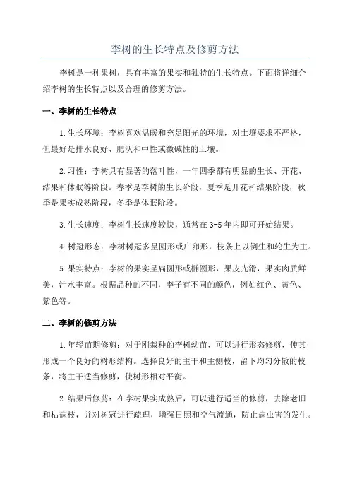 李树的生长特点及修剪方法