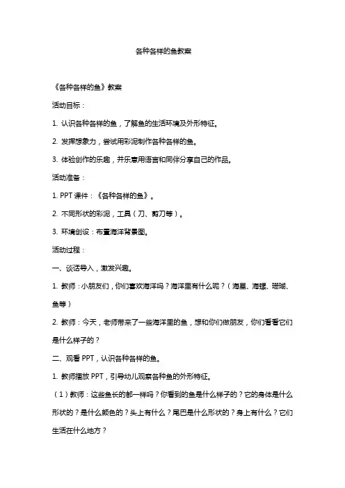 各种各样的鱼教案