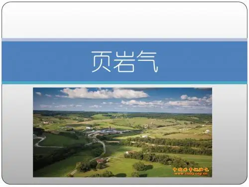 页岩气