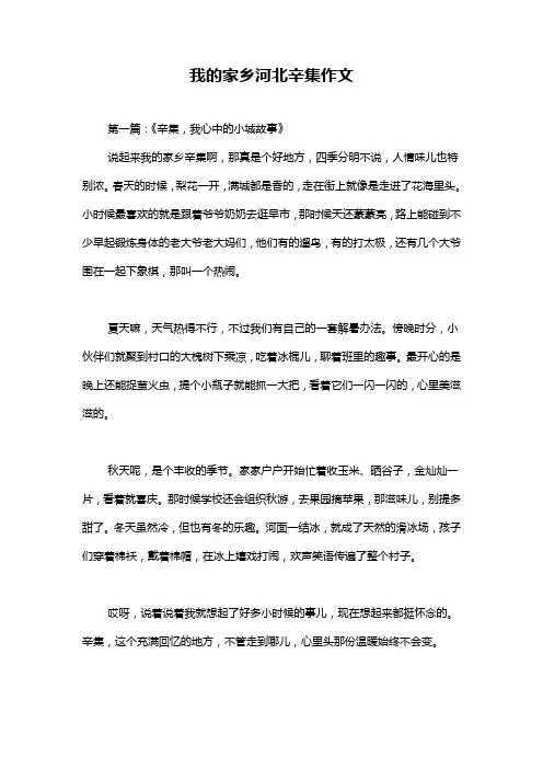 我的家乡河北辛集作文