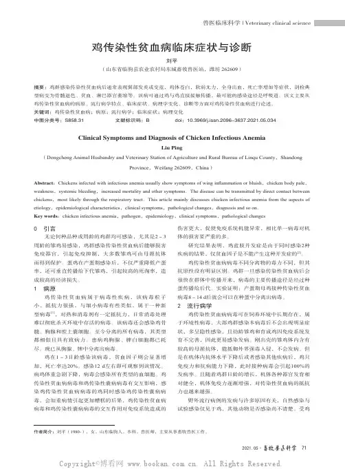 鸡传染性贫血病临床症状与诊断