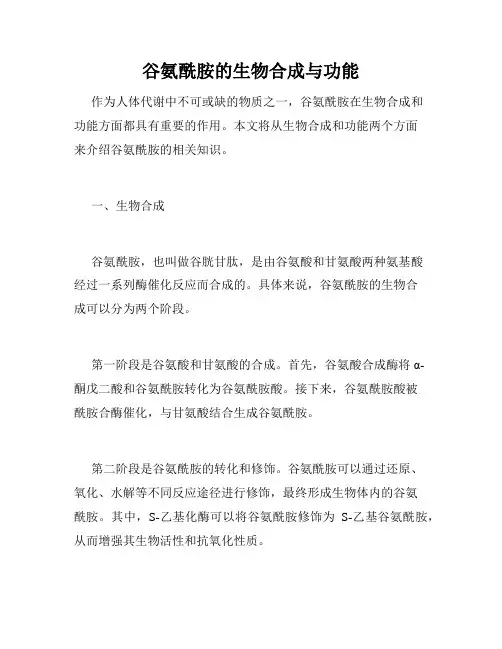 谷氨酰胺的生物合成与功能