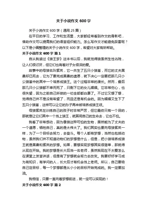 关于小说作文600字（通用25篇）