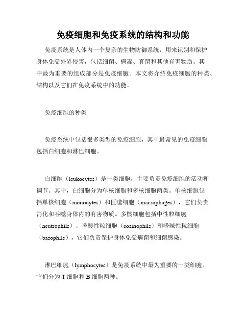 免疫细胞和免疫系统的结构和功能