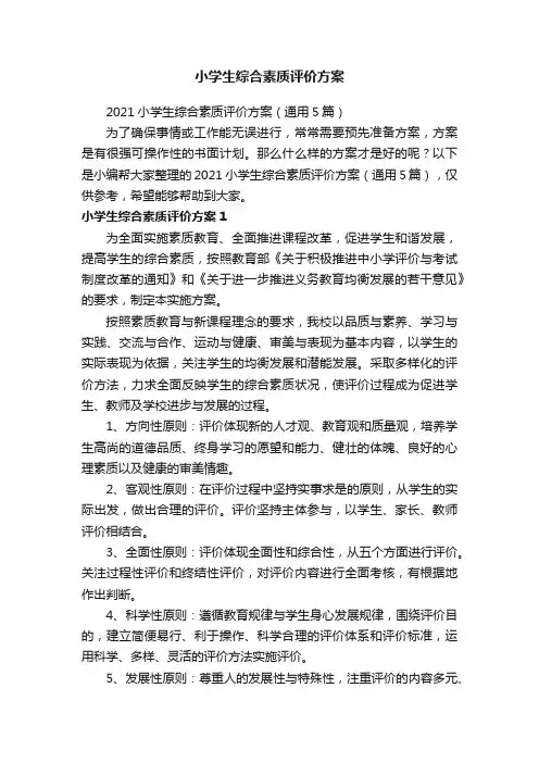小学生综合素质评价方案