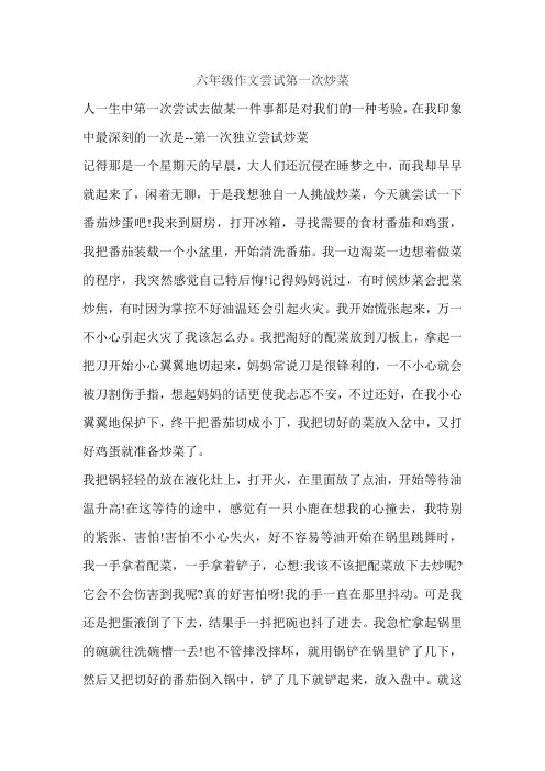 六年级作文尝试第一次炒菜