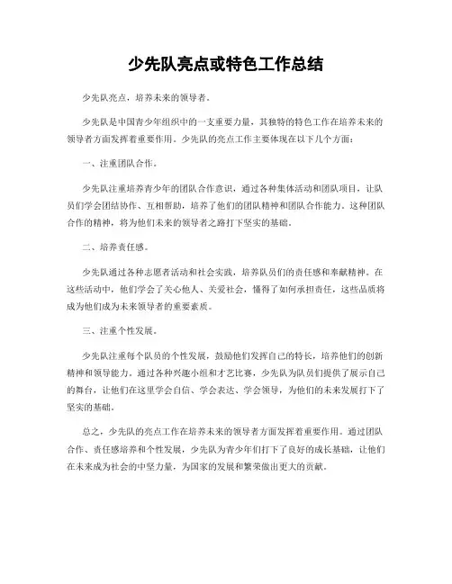 少先队亮点或特色工作总结