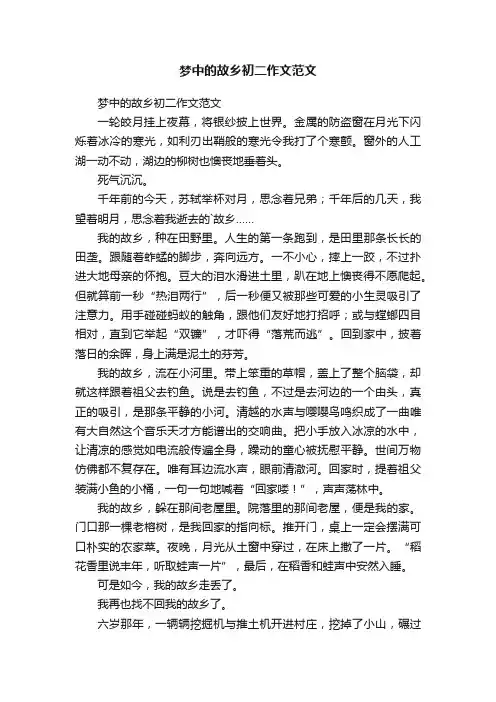 梦中的故乡初二作文范文