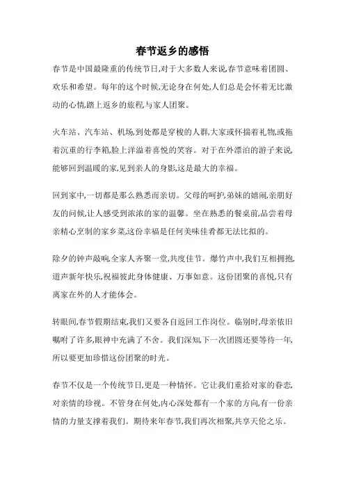 春节返乡的感悟