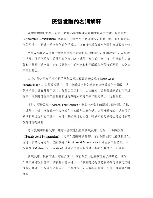 厌氧发酵的名词解释