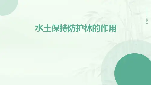 水土保持防护林的作用ppt