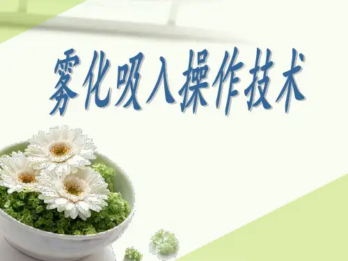 雾化吸入操作技术流程