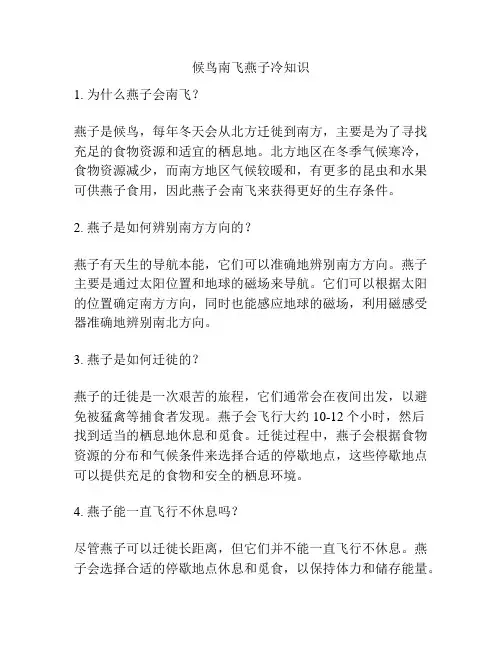 候鸟南飞燕子冷知识