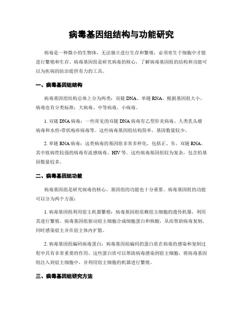 病毒基因组结构与功能研究