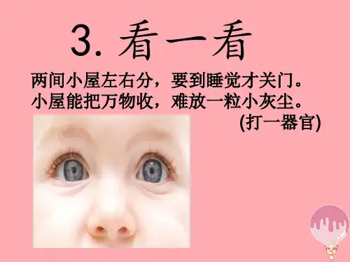 一年级科学上册第3课看一看课件3青岛版六三制