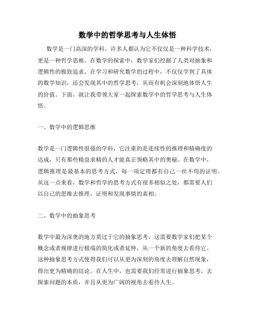 数学中的哲学思考与人生体悟