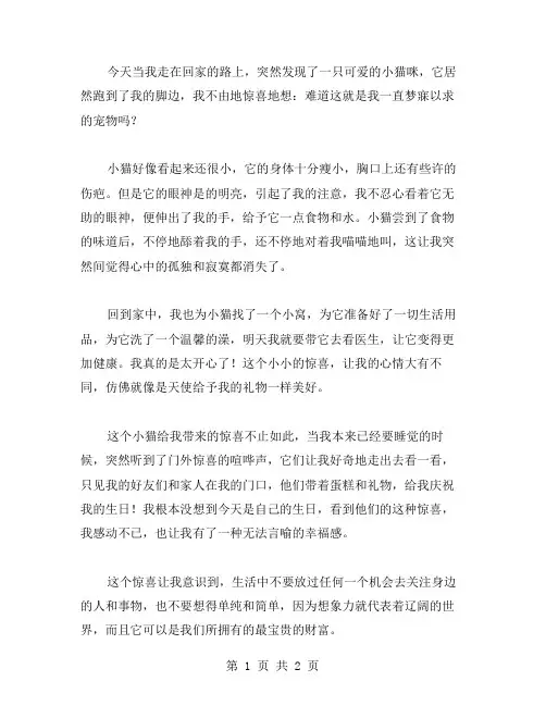 以惊喜为题的日记范文