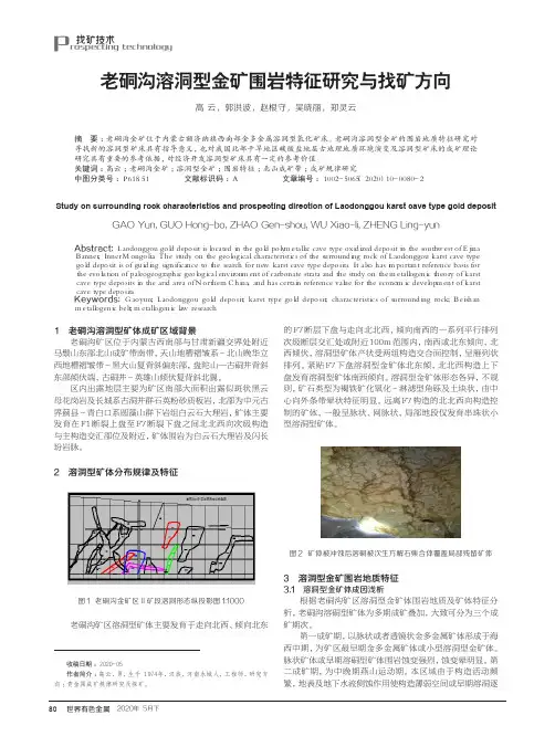 老硐沟溶洞型金矿围岩特征研究与找矿方向