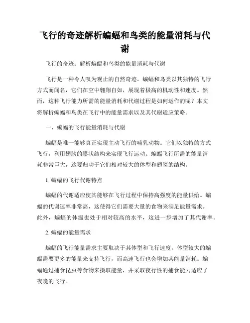飞行的奇迹解析蝙蝠和鸟类的能量消耗与代谢
