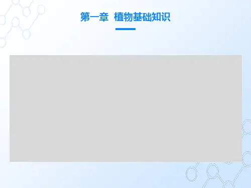 植物细胞基本知识