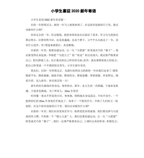 小学生喜迎2020新年寄语
