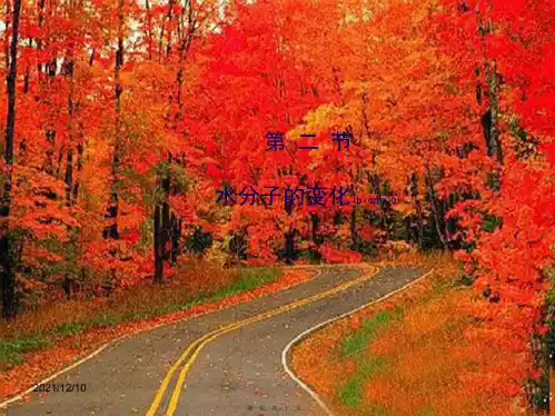 九年级化学上册 2.2 水分子的变化课件