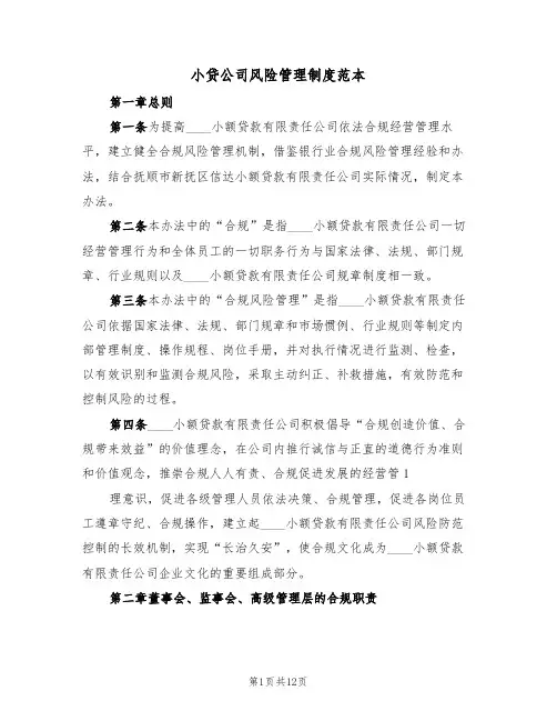 小贷公司风险管理制度范本(3篇)