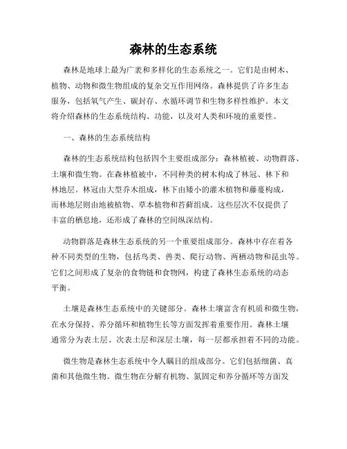 森林的生态系统
