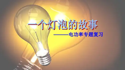 九年级上科学《电能》优秀课件浙教版3