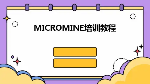 2024版MICROMINE培训教程