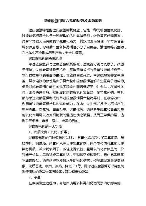 过硫酸氢钾复合盐的功效及杀菌原理