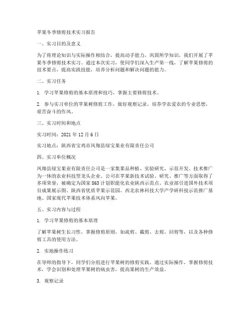 苹果冬季修剪技术实习报告