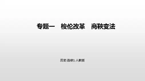 高考历史专题复习专题一 梭伦改革 商鞅变法  B综合拓展