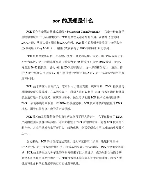 pcr的原理是什么