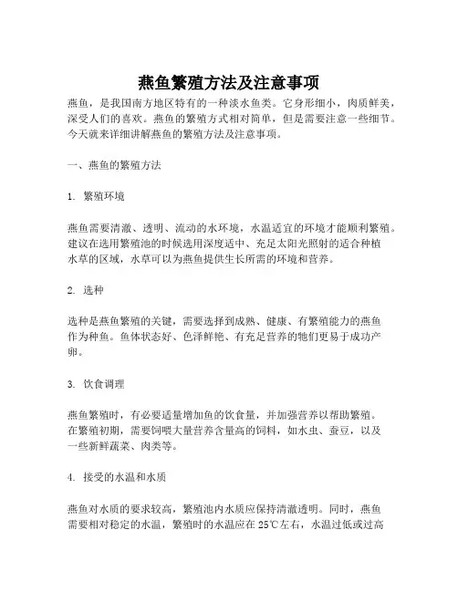 燕鱼繁殖方法及注意事项