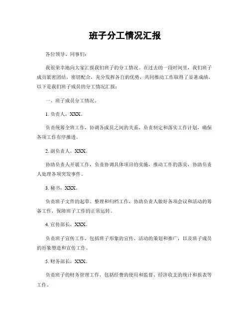班子分工情况汇报