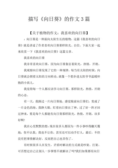 描写《向日葵》的作文3篇