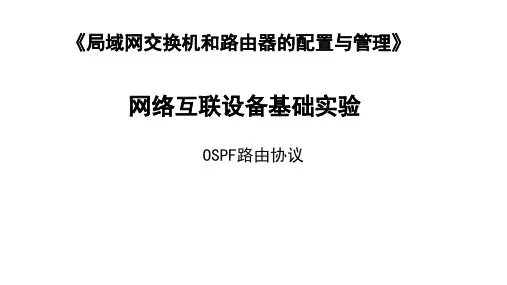 OSPF路由协议