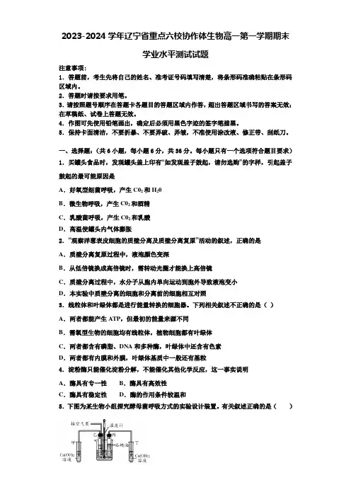 2023-2024学年辽宁省重点六校协作体生物高一第一学期期末学业水平测试试题含解析