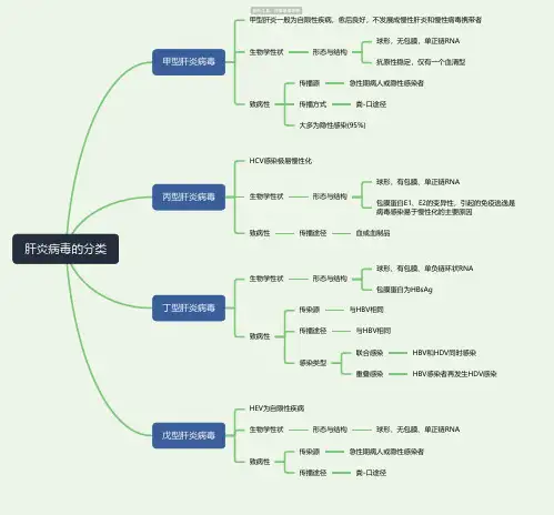 医学微生物学-肝炎病毒的分类思维导图-高清简单脑图模板-知犀思维导图