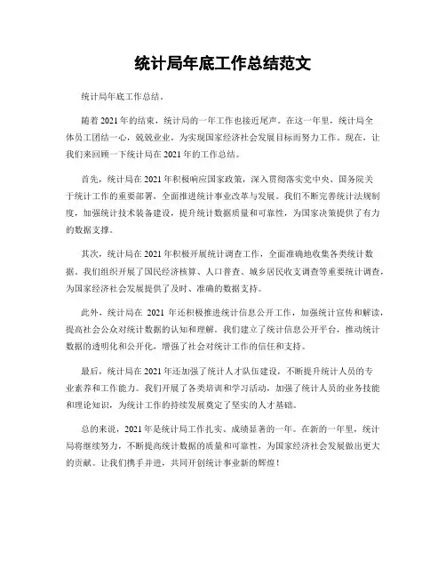 统计局年底工作总结范文