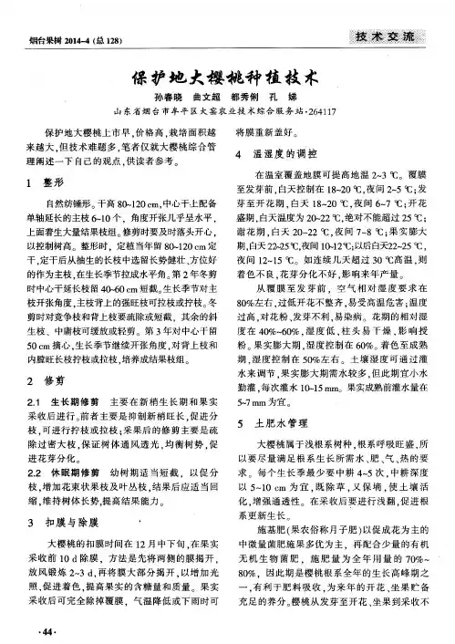 保护地大樱桃种植技术
