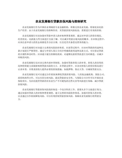 农业发展银行贷款担保风险与控制研究