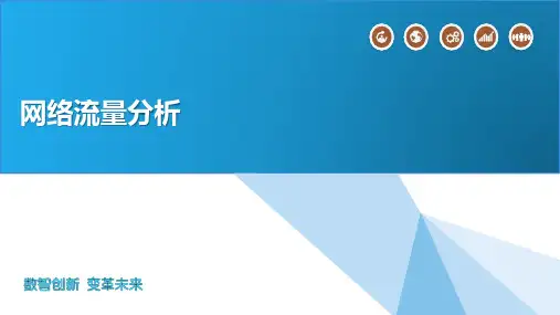 网络流量分析概述