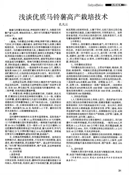 浅谈优质马铃薯高产栽培技术