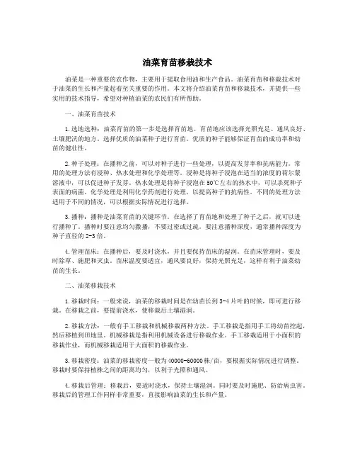 油菜育苗移栽技术