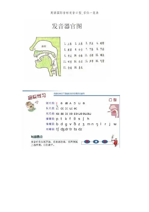 英语国际音标发音口型_舌位一览表