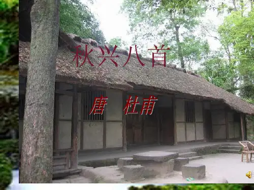 秋兴八首